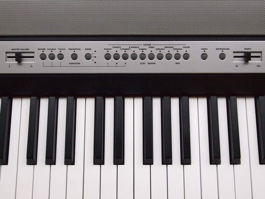 Korg Sp250 Piano Review Bestedigitalepianonl